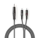 COTH22200GY30 Stereo-Audiokabel | 3.5 mm Stecker | 2x RCA...