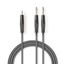 COTH23200GY15 Stereo-Audiokabel | 2x 6.35 mm Stecker |...