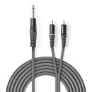 COTH23300GY15 Stereo-Audiokabel | 6.35 mm Stecker | 2x...