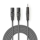 COTH15310GY30 Balanced Audio-Kabel | 2x XLR 3-Pin Stecker...