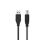 CCGL61100BK20 USB-Kabel | USB 3.2 Gen 1 | USB-A Stecker | USB-B Stecker | 5 Gbps | Vernickelt | 2.00 m | Rund | PVC | Schwarz | Label