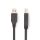 CCGB61100BK20 USB-Kabel | USB 3.2 Gen 1 | USB-A Stecker | USB-B Stecker | 5 Gbps | Vernickelt | 2.00 m | Rund | PVC | Schwarz | Box
