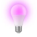 SMARTBULB10 Smart LED-Farblampe mit Wi-Fi E27 9W