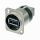 NTR-NAUSB-W Wendbarer USB 2.0 Gender Changer (Typ A und B), D-Gehäuse aus Nickel
