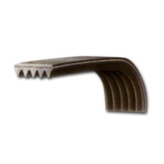 Riemen 1194J5EL Indesit C00144656 WIXL165EX