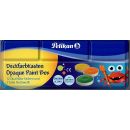 Deckfarbkasten DF12 ÖNorm A2140