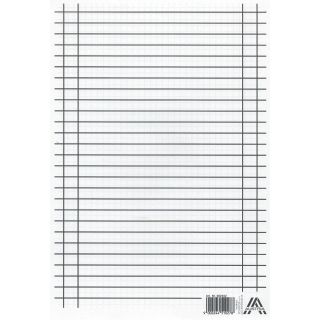 Linienspiegel A4 (liniert+kariert) (VPE=1 Blatt)