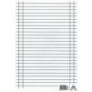 Linienspiegel A4 (liniert+kariert) (VPE=1 Blatt)