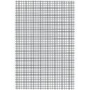 Linienspiegel A4 (liniert+kariert) (VPE=1 Blatt)